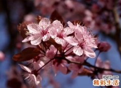 改变命运的微信名