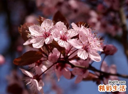 改变命运的微信名