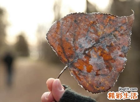 具有诗意的名字