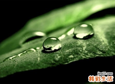 绝望心寒的网名