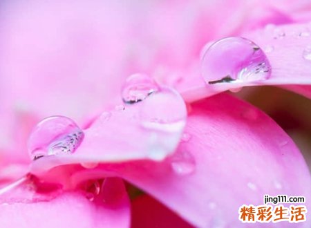 开心愉悦的网名