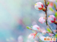 靠自己霸气网名