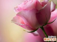 两个字的快手名字