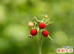 朗朗上口的名字