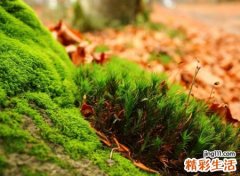 两字好听的名字