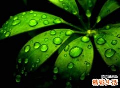 六字古风游戏名