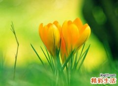 满眼遗憾的网名