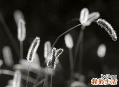 魔兽世界游戏名