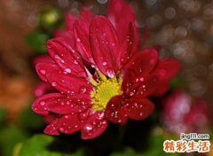 六个字的微信名