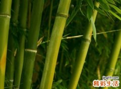 努力奋斗的网名