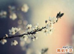 适合天蝎座的网名
