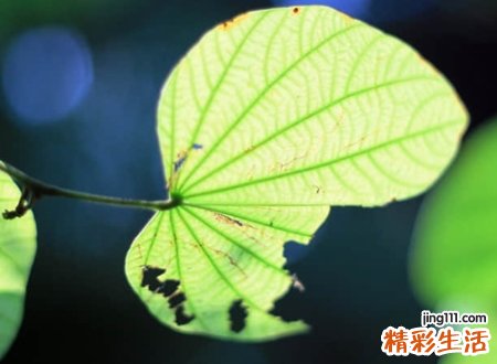 三个字的微信名