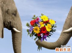 二字好运微信昵称