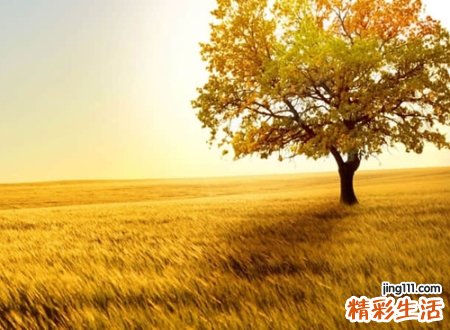 秋天唯美的网名