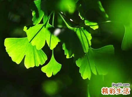 两个字好听名字