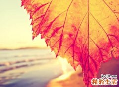 三个字抖音名字
