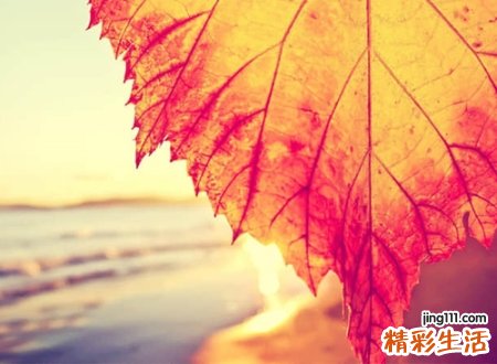 三个字抖音名字