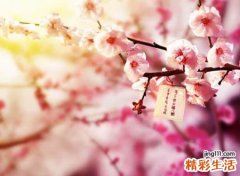 二字游戏名字干净版