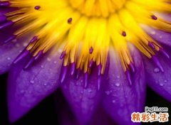 可爱的名字昵称