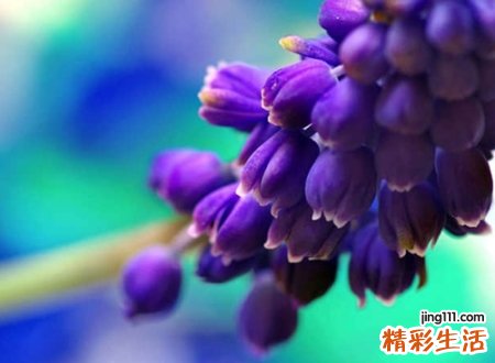 修心的网名