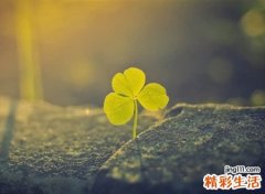 平淡幸福的网名