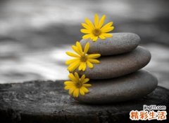 二字战队名字
