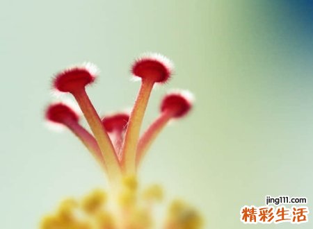 好朋友群名
