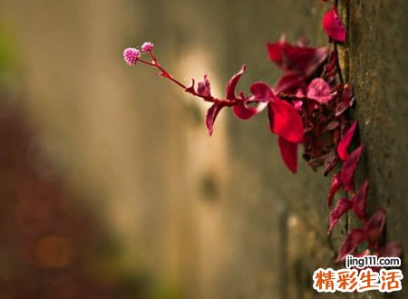 有意境的两个字名字