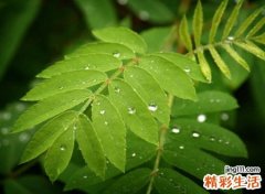 朋友群名称