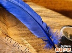 奇怪的网名