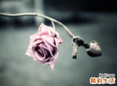 绝情的微信名字