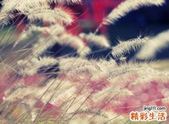个性群名称