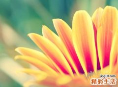 个性微信号名字