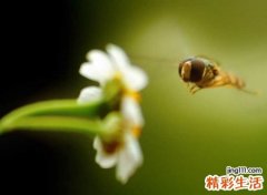 有点污的游戏名字