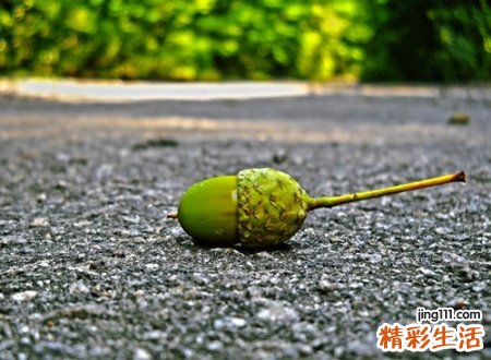 丧名字网名