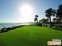 五个字名字