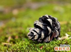 抖音骚气的名字