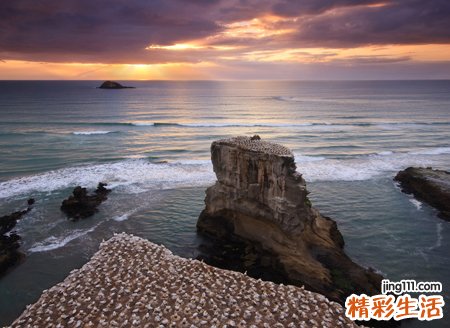 沙雕微信名