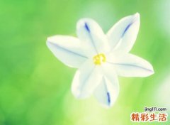 两个字古风名字