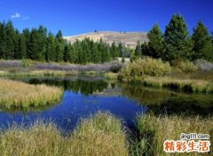 有内涵有深意的网名