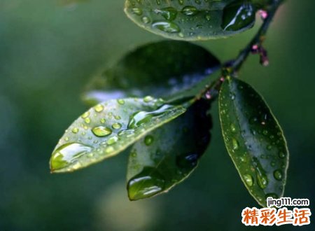 寓意内疚亏欠的网名