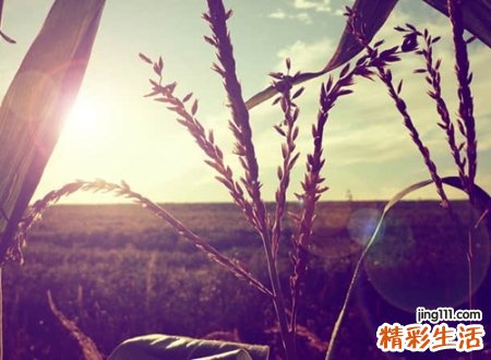 对婚姻失望的网名