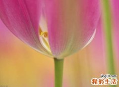 恨一个人的网名