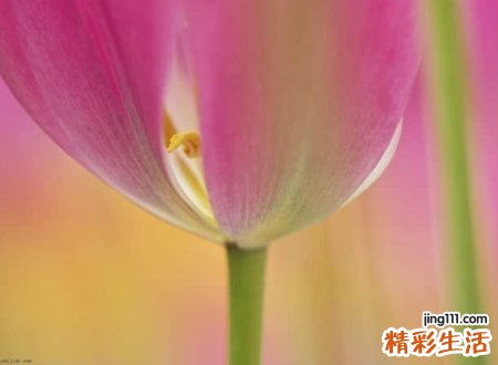 恨一个人的网名