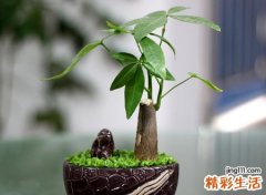 寓意兴旺的微信名字