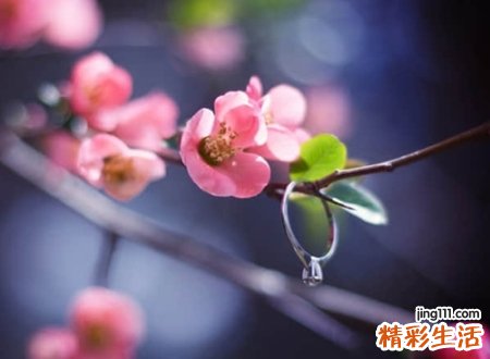 健康平安的网名