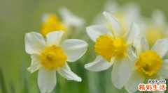 2022下半年有丧事的生肖 哪些生肖今年特别倒霉