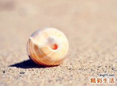 优雅有气质的网名
