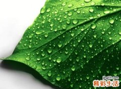 有文化和诗意的群名