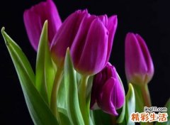 有深度有诗意的昵称